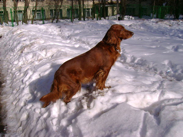 Галина Солнцева