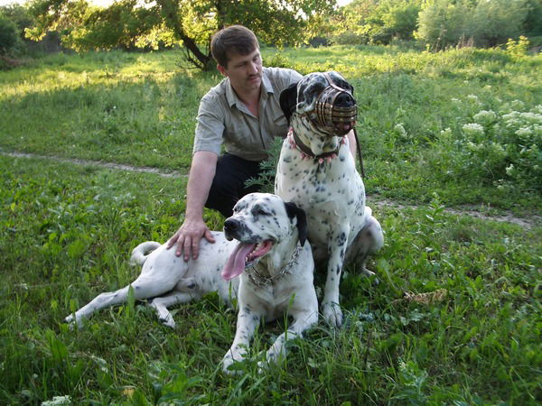 Валерий Кульпин