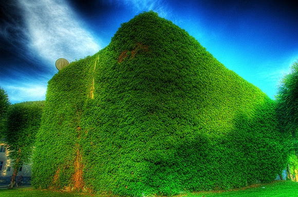 Валерия Тимошенко(Рудковская)