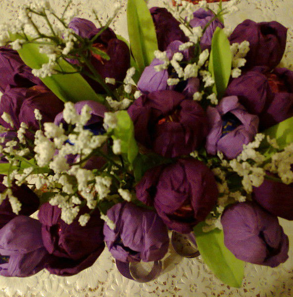 Ольга Викторовна Аникина