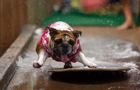 Ксения Теребина