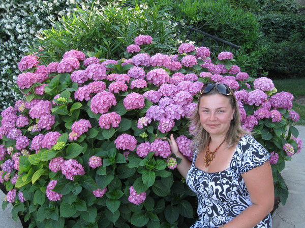 Ольга Волкова