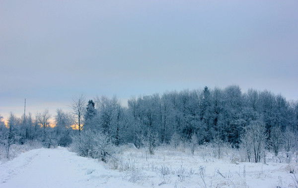 Владимир Кутузкин