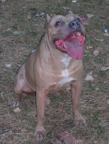 Наталья Беляева