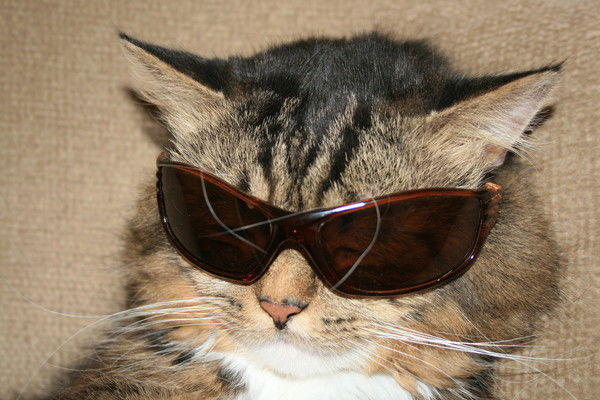 Марина Лукина