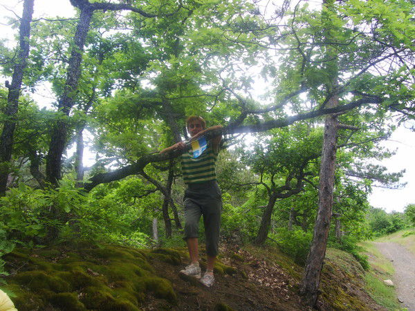 Ирина Герасименко