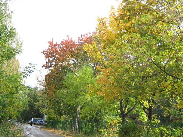 Галина Карнеичева