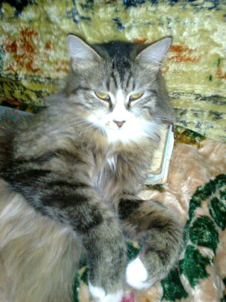 Инга Лялькова