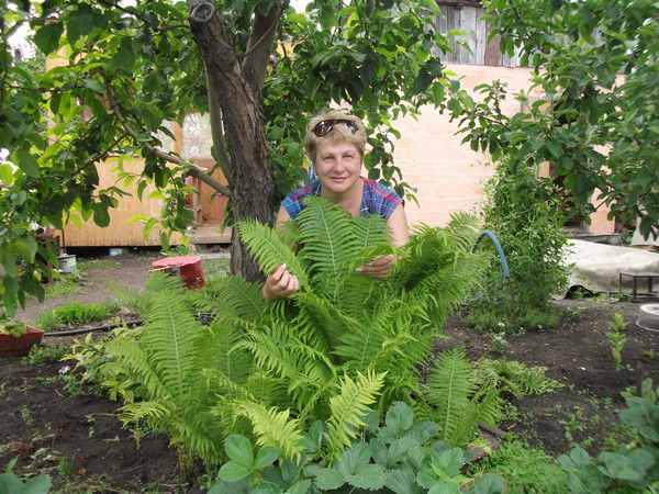 Татьяна Саморукова