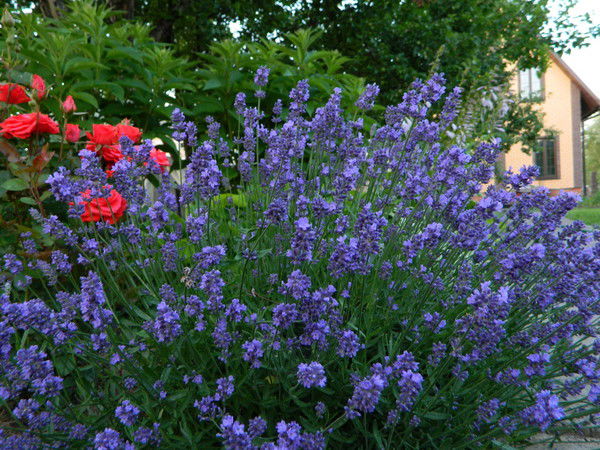 Татьяна Пятова