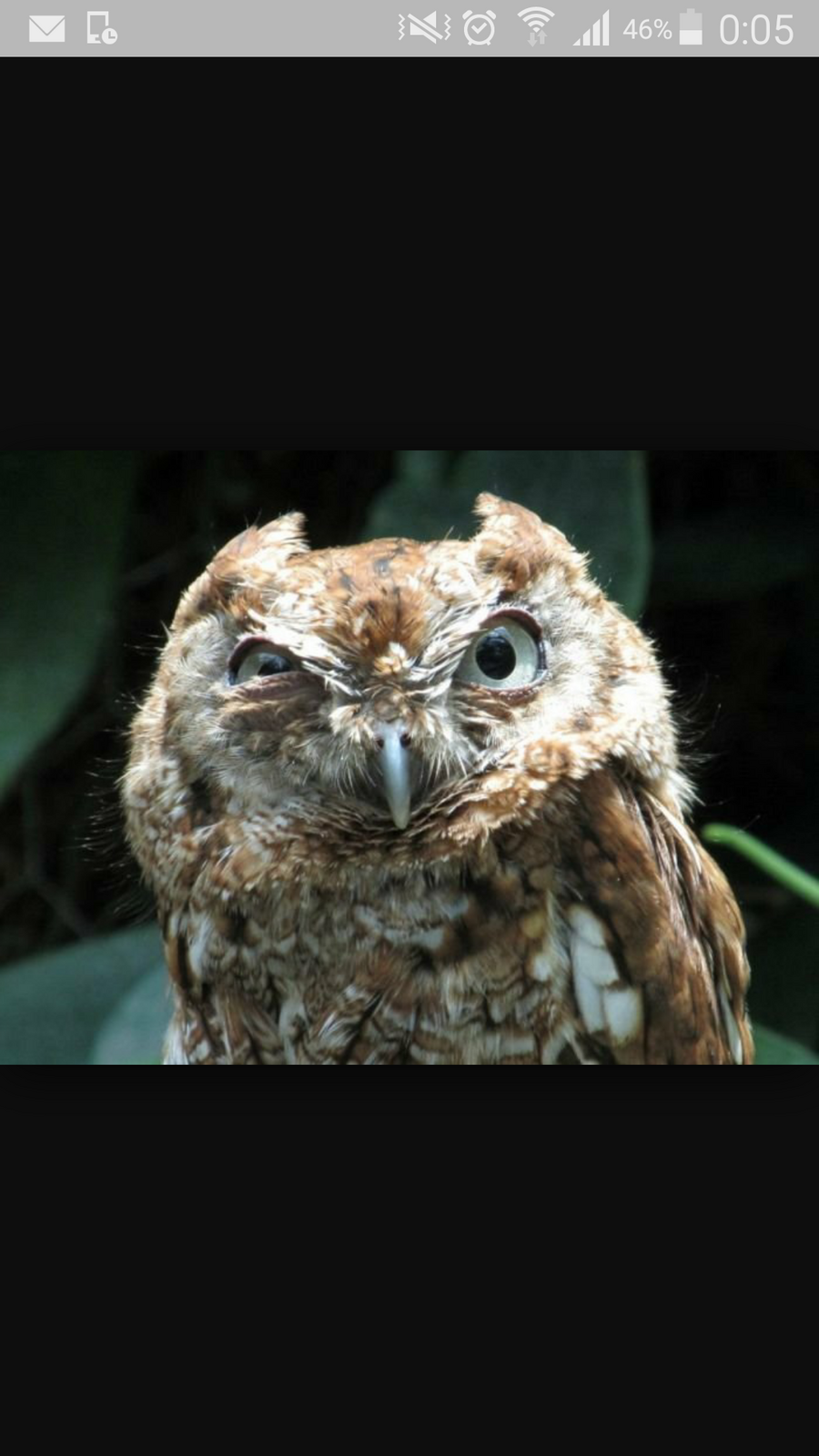 Константин Lol