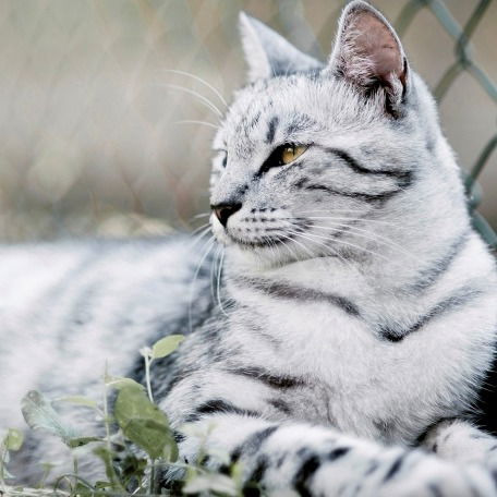 Андрей Гейн