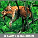 Игорь Рысенко