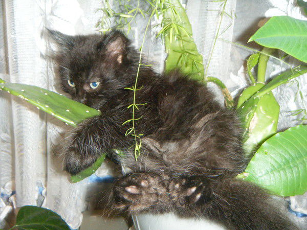 44Года Галина Сухорукова