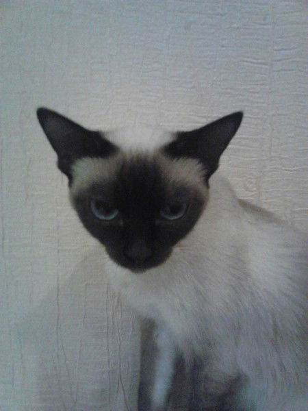 Александр Крутой