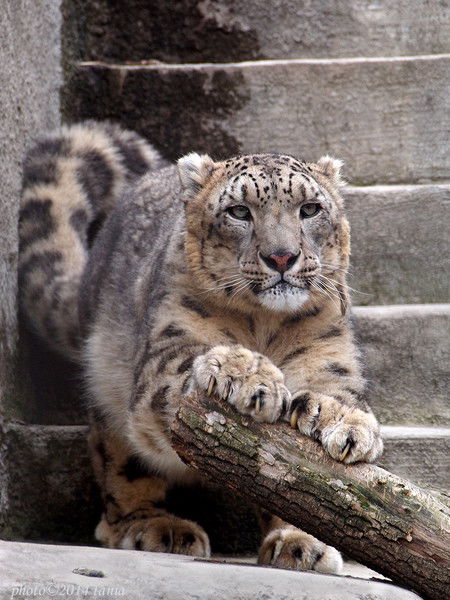 Татьяна Попкова