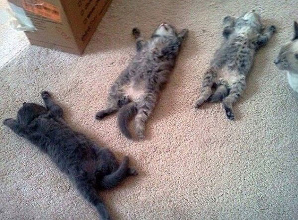 Глеб Солотюшин