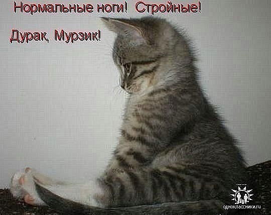 Татьяна Царёва