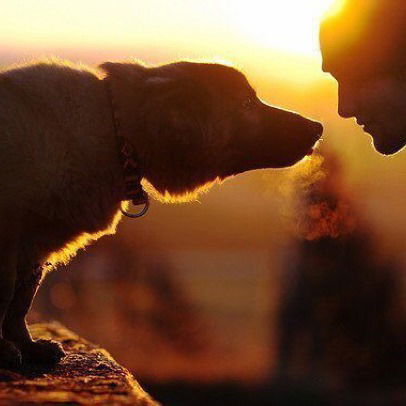 Сергей Дмитриенко