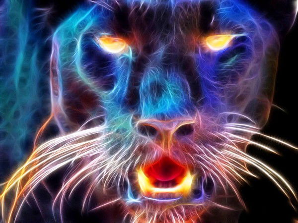 Максик Кирт