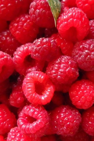 Ольга Еремеева