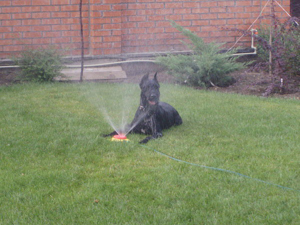 Татьяна Новикова