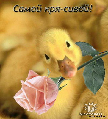 Майя Шенгелия