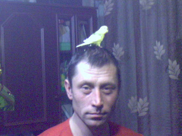 Игорь Любченко