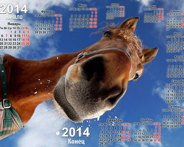 Елена Будилова