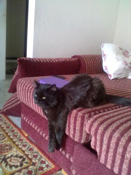 Ирина Худякова