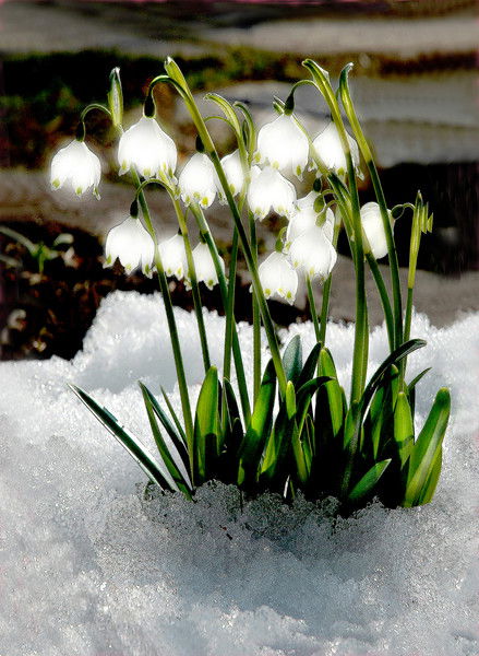 Юрий Житлухин