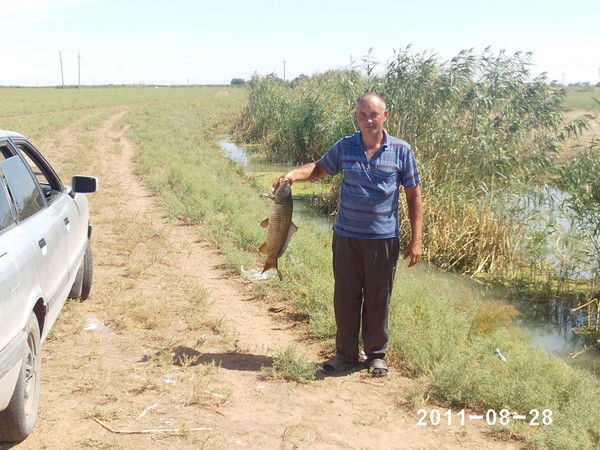 Сергей Шведин