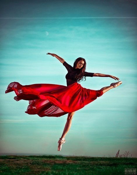 Роза Ромашка