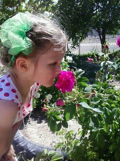 Димон Чубов