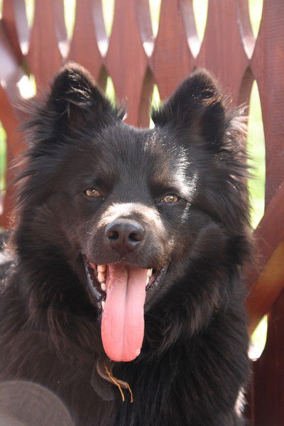 Лариса Корнилова