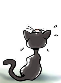 Кирилл Сергеев