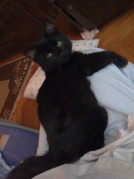 Вася Оранская