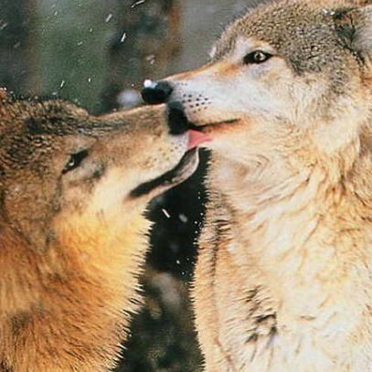 Юля Яковенко