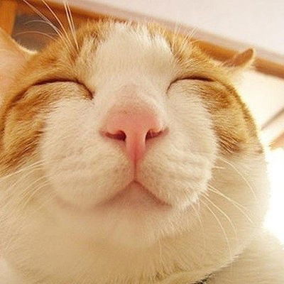 Николай Даниленко