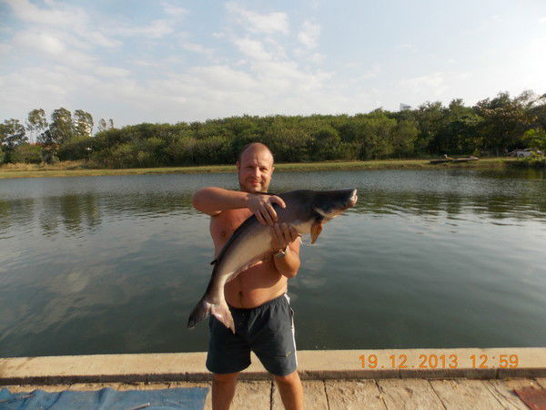 Александр Водяницкий