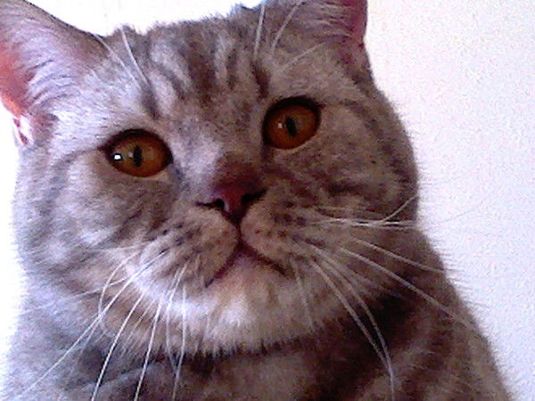 Владимир Геннадьич