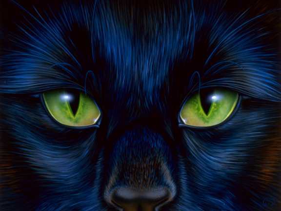 Сергей Галушко