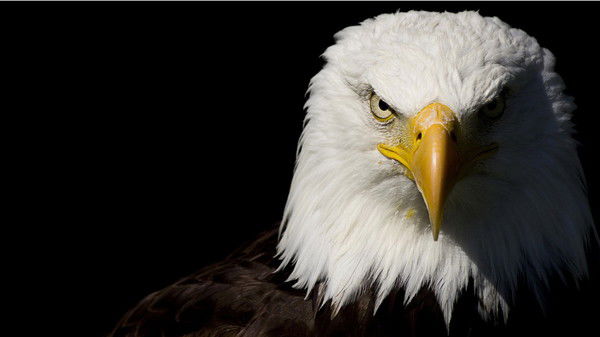 Александр Мелкозеров