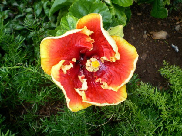 Меруерт Унербекова