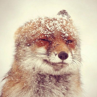 Аля Васильева