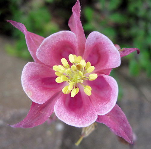 Корнилов Сергей