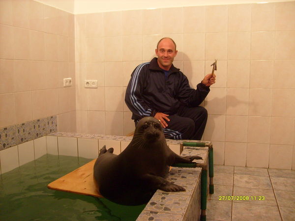 Владимир Емельяшин