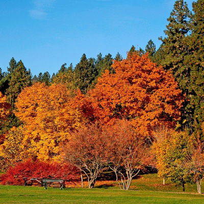 Степан Дуфанець