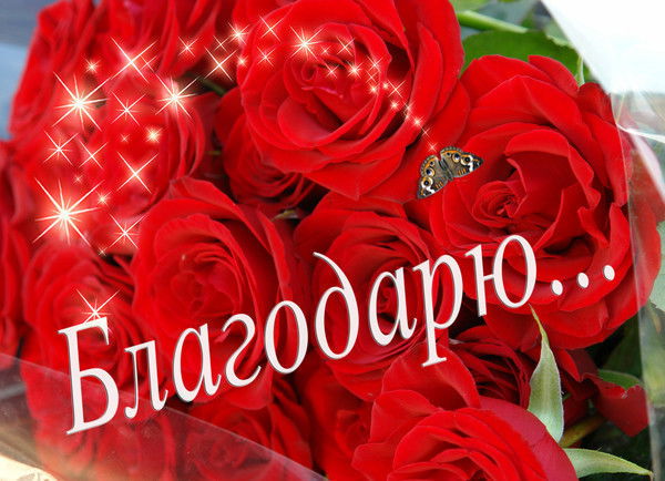 Айна Раймбек