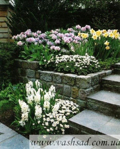 Наташа Иванова